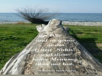 Wir sind so gerne in der freien Natur