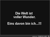 Die Welt