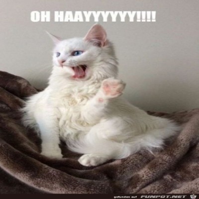 Hi.jpg von Supersusi