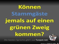 Stammg�ste