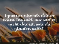 Ignoriere niemals deinen ersten Instinkt