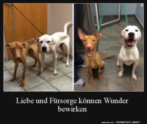 Liebe-und-Frsorge.jpg auf www.funpot.net
