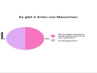 Die zwei Arten von Nachtschwrmern