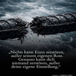 Wenn-das-Eisen-Fitness-macht.jpg von Tarik1967