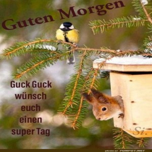 Begr&uuml;&szlig;ungsbild