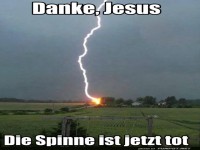 Wenn der Blitz zum Spinnenj�ger wird!