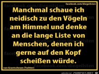 diegeilsten Voegel am Himmel