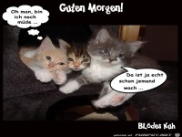 Guten Morgen