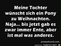 Ein Pony zu Weihnachten