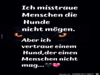 ich misstraue Menschen, die Hunde nicht mgen.......