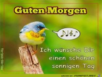 Guten Morgen
