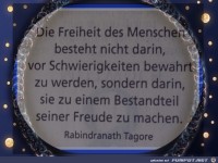 die freiheit des Menschen