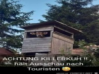Die Touri-Kuh