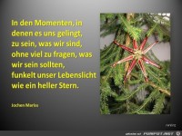 In den Momenten