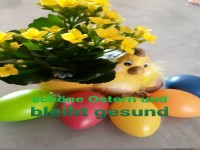 schoene Ostern