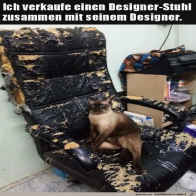 Katze-hat-ganze-Arbeit-geleistet.jpg von Clara
