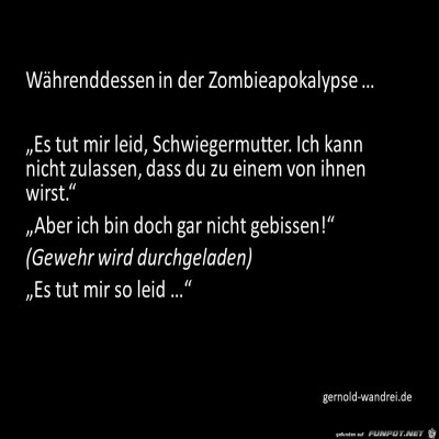 Die-Schwiegermutter.jpg von gernoldwandrei