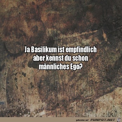Basilikum-und-Männer.jpg von Pola
