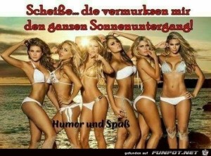fun-Bild: Scheisse