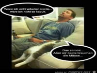 Sie brauchen die M�use