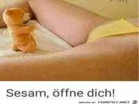 Sesam öffne dich