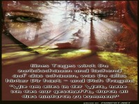 Ekines Tages wirst du zurück schauen