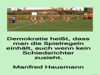 demokratie hei�t, dass man die spielregeln