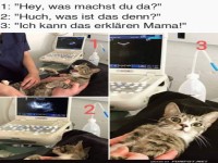 Ich kann das erkl�ren