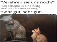 Lustiger Katzenvergleich mit antiker Statue