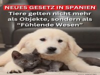 Neues Gesetz: Tiere in Spanien als fhlend anerkannt