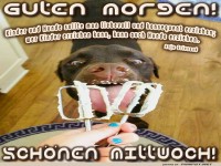 Frhlicher Start in den Puppymittwoch!