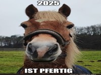 Wenn das Pferd schneller als die Zeit ist!