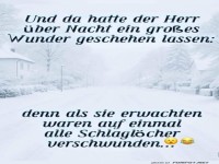 Winterwunder: Schlagl�cher ad�!