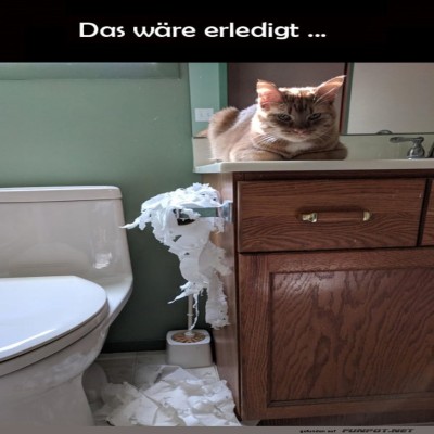 Katzenlogik:-Klopapier-Chaos-gemeistert!.jpg von Annelie-68
