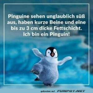 Ein-Pinguin.jpg von Lennox44
