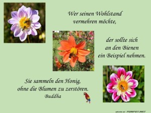 herz-Bild: Wer seinen Wohlstand vermehren m&ouml;chte