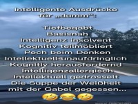 Wenn Schlaumeiern zum Extremsport wird