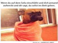 Der ultimative Sofaschlummer-Kaiser