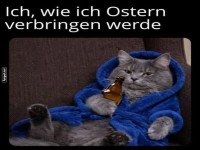 Ostern im Relaxmodus: Der Chillkater!