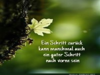 R�ckw�rtsgang mit Aussicht