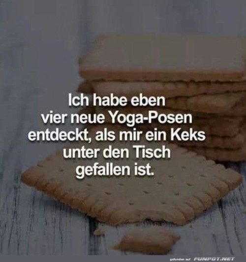 Keks-Yoga:-Die-neue-Sportart!.jpg auf www.funpot.net