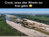 Wenn der Rhein seine Sch�tze zeigt! ?