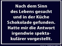 Nach dem Sinn des Lebens gesucht...