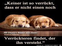 Keiner ist so verrueckt