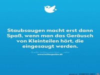 Staubsaugen macht Spass