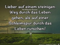 Lieber auf einen steinigen Weg