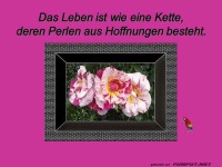 Das Leben ist