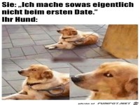 Dieser Hundeblick sagt alles