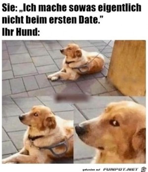 Dieser-Hundeblick-sagt-alles.jpg auf www.funpot.net