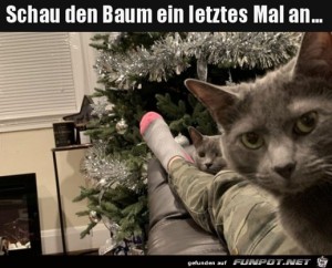 Guck-dir-den-Baum-ein-letztes-mal-an.jpg auf www.funpot.net